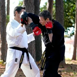 Brave MMA Competition Glove