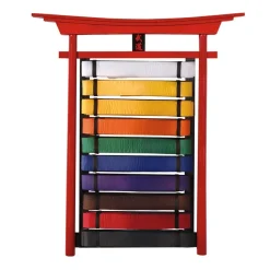 Budo Wall Mountable Belt Displays - 10 Level