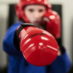 Century Punches