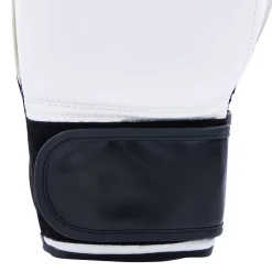 Century Solid Boxing Glove