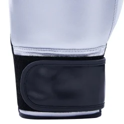 Century Solid Boxing Glove