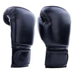 Century Solid Boxing Glove