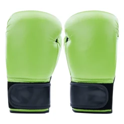 Century Solid Boxing Glove