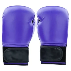 Century Solid Boxing Glove