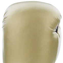 Century Solid Boxing Glove