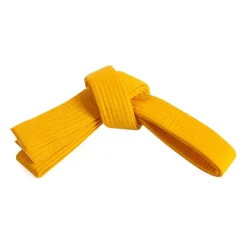Double Wrap Solid Belt