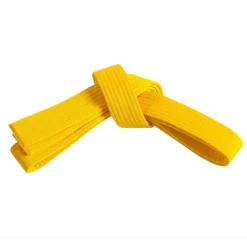 Double Wrap Solid Belt