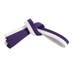 Double Wrap Two Tone Belt