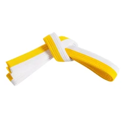 Double Wrap Two Tone Belt