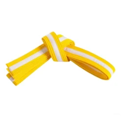 Double Wrap White Striped Belt