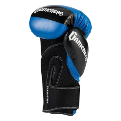Gameness Boxing Glove