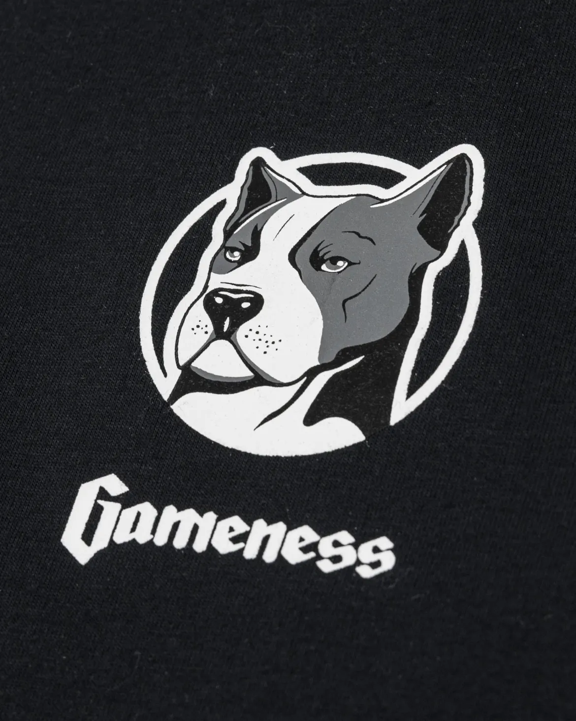 Gameness Definition Tee