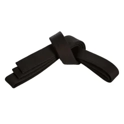 Heavy Core Deluxe 2" Black Belt