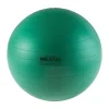 PB Thera-Band Pro Series SCP Stability Ball - 65cm
