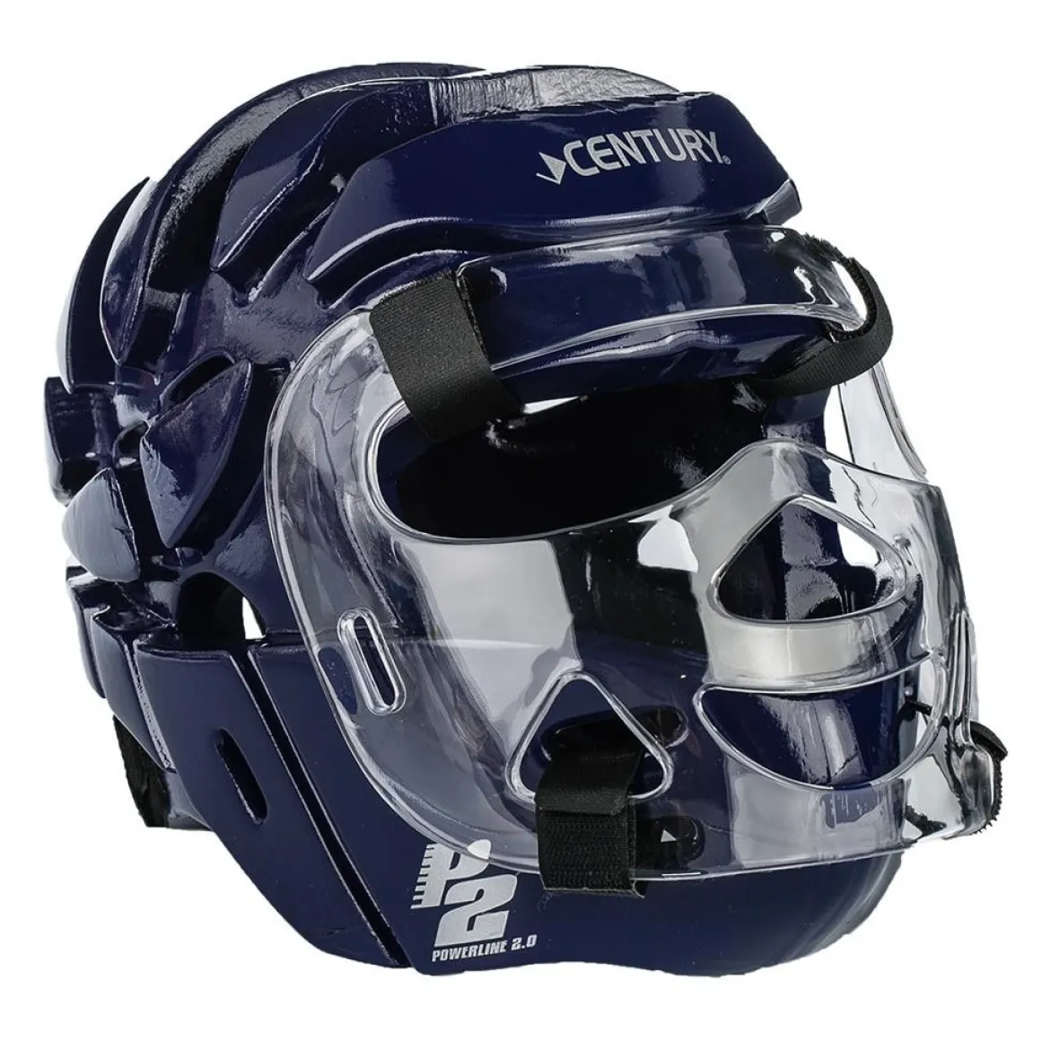 P2 Full Face Headgear with Shield