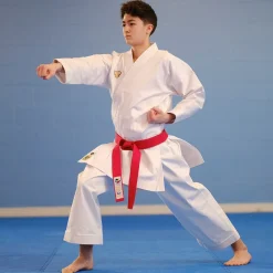 Punok Kata Uniform
