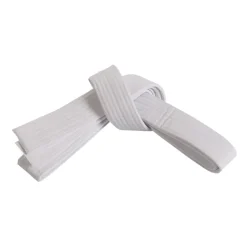 Single Wrap Solid Belt