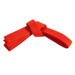 Single Wrap Solid Belt