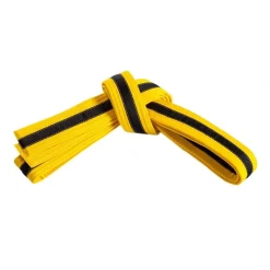 Single Wrap Striped Belt